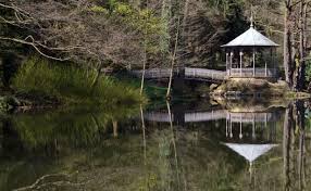 Alle Grossen Waldsee Freiburg Im Breisgau Germany Flickr Fotosharing House Styles Photo Online Photo