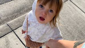 Fundraiser for Emily De Nicolais by Sarah DeNicolais : Help Us Get Nova Ray  a Diabetes Alert Dog