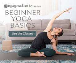 10 Most Common Beginner Yoga Poses And How To Practice Each Pose Beginner Yoga Class Yoga For Beginners Basic Yoga