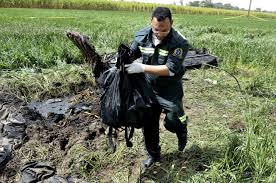 The partial frame of a hot air balloon is visible above a crop field as investigators comb the wreckage of a crash saturday morning in a pasture near lockhart, about 50 kilometres south of austin, texas. Texas Balloon Crash Reminder Of Egypt S 2013 Disaster