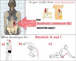 Pin On Annoying Backache
