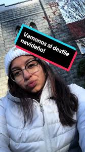 Annual Christmas Carousel Raleigh