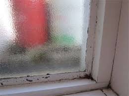 When the window seal is not doing its job, cool air makes its way inside of double paned windows. Stop Condensation On Windows And Walls With Diy Doctors Condensation Solutions Diy Doctor
