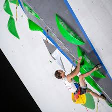For mickael and bassa mawem, climbing is really a passion. B1fqgcoxg9fekm