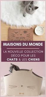 Maisons Du Monde Vend Maintenant De La Deco Pour Les Chats Les Chiens Maison Du Monde Chien Chat