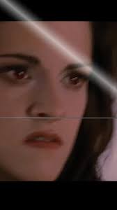 Edward Said Kajla Daughter