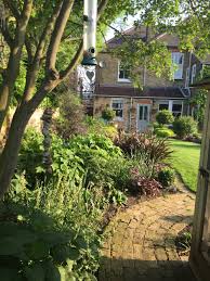 This South Facing Garden In South East London Is Really Filling Out Love This Woodland Corner And The Little B Garden Ideas Uk Outdoor Paving Outdoor Gardens