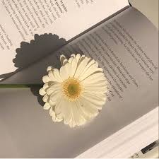 Tumblr Book With Flowers Google Search Flower Aesthetic Aesthetic Iphone Wallpaper Aesthetic Wallpapers