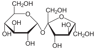 Vector sucrose molecule stock illustrations Sucrose Wikipedia