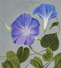 Items Similar To Morning Glory Flower Painting Large Wall Art Modern Acrylic Giclee Art Contemporary Art Livingroom D Flower Painting Flower Drawing Flower Art