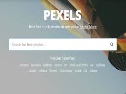The #1 source for beautiful free photos. 10 Best Stock Photography Sites To Download Images