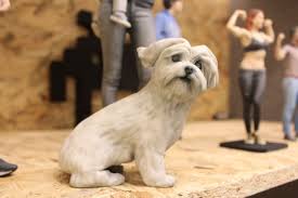 3d Scanned And Printed Pet Dog Cat Ikonlar Studyo