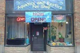 4 reviews of quality aquatics pet shop huge selection of freshwater fish. Aquatics And Exotics Pet Shop Aquatic Pet Store Ilion New York Facebook 288 Photos