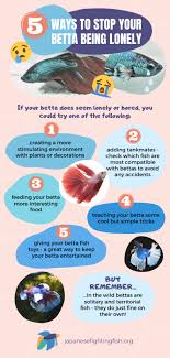 Betta Fish Lifespan
