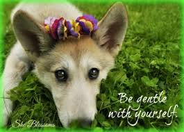 How can i get back with my boyfriend? 6 Things To Do When Your Boyfriend Doesn T Make Time For You