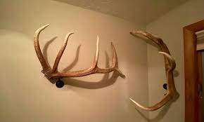 Real Elk Antler Towel Coat Hat Rack Bathroom Rustic Furniture Etsy In 2021 Elk Antler Decor Antlers Decor Elk Antlers