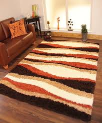 Shag Area Rugs Rugs Carpets Orange Area Rug Living Room Burnt Orange Area Rug Br Living Room Orange Burnt Orange Living Room Decor Burnt Orange Living Room