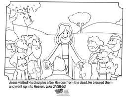 Edith Terranova (terranovaedith25)