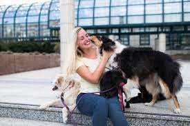 Maybe you would like to learn more about one of these? How Much Does A Pet Sitter Cost Pawshake Blog