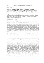 Image result for Plinthus