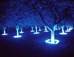 Woodland Nursery Animals Black White Baby Animals Set Dog Duck Etsy In 2021 Light Art Installation Light Sculpture Light Art