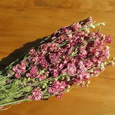 All our products are made by hand, which makes each product unique. Dried Larkspur Flowers Pink