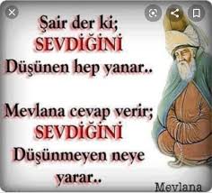 Olenler Hayvanlar Imis Asiklar Asiklar Olmez Kendini Gelistirme Ask Guzel Soz