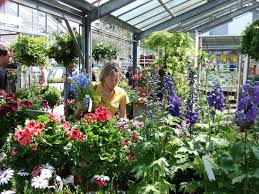 2 personen im hotel blumenstein. Blumen Und Gartencenter In Frauenfeld Winterthur Blumengarten Kung