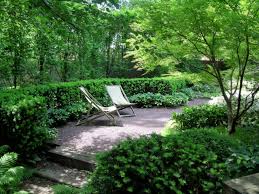 Shop our great selection of evergreens shade & save. Easy Care Evergreen Plants And Combos For Stunning Shade Gardens
