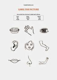 Maybe you would like to learn more about one of these? Soal Bahasa Inggris Tentang Anggota Tubuh Cara Golden