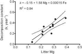 The Importance Of Macro And Micro Nutrients Over Climate For Leaf Litter Decomposition And Nutrient Release In Patagonian Temperate Forests Sciencedirect