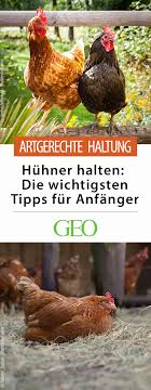 Pin Auf Tier Wallpaper