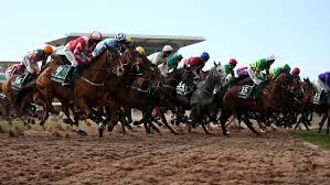 Manila horse page with past performances, results, pedigree, photos and videos. Xqgeeba8ve7wim