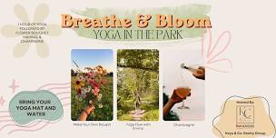 Breathe & Bloom - Yoga in the Park