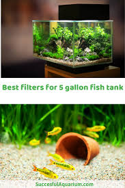 Best 5 Gallon Tank Filter For Small Aquarium And Betta Fish Keepers Betta Fish Small Fish Tanks Fish Plants
