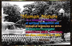 Fountain With Quote From Dreams Of The Immortal City Savannah Photograph By Aberjhani