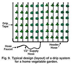 Water Gardening In Texas Earth Kind Landscaping Drip Irrigation System Design Garden Irrigation System Irrigation
