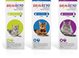 Don't store above 77°f (25°c). Flea Tick Treatment For Cats Bravecto Fluralaner