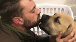 Dog bond, dying man saved by dog, hospital reunites man with dog. Jeremy Affeldt Tells Incredible Story Of Using Cpr To Save His Dog S Life Knbr