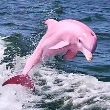 Instagram photo by Zoran Petrovic • Jun 21, 2025 at 1:07 AM