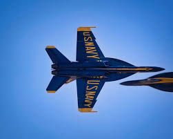 Navy Flight Demonstration Team Blue ...