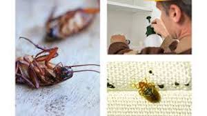 1 and they will schedule a service call with the pest control company at no cost. Fine Pest Control Brighton City Pest Control Pros