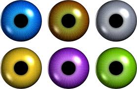 We did not find results for: The Science Of Hazel Eyes