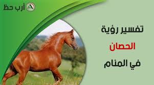 تفسير الفرس والحصان أو الخيل أو الجواد في المنام معنى الخيل في الحلم ارب حظ