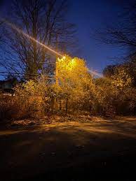 Some people have figured out a method that works for. Sodium Vapor Lamp Wikipedia