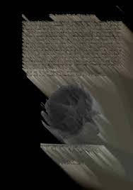 Image result for Trichoneura schlechteri