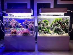 Mini Plastic Fish Tank Portable Desktop Aquaponic Aquarium Betta Fish Micro Aquatic Shop Bettafish Aquarium Fish Fishtan Mini Aquarium Fish Tank Aquarium