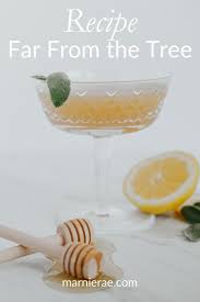 Mocktail Recipe Far From The Tree Marnie Rae Mocktail Recipe Easy Mocktail Recipes Easy Drink Recipes