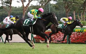 Jun 30, 2021 · 【次走】 宝塚記念1着クロノジェネシス（牝5＝斉藤崇）、同3着レイパパレ（牝4＝高野）、同4着カレンブーケドール（牝5＝国枝）、同6着ミス. é–¢å±‹è¨˜å¿µ ãƒˆãƒ­ãƒ¯ã‚¼ãƒˆãƒ¯ãƒ« é€ƒã'ç²˜ã£ã¦2ç€ ä¸‰æµ¦ ã—ã£ã‹ã‚Šèµ°ã‚Œã¾ã—ãŸ ã‚¹ãƒãƒ‹ãƒ Sponichi Annex ã‚®ãƒ£ãƒ³ãƒ–ãƒ«