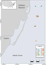 The Relationship Between Fish Abundance And Benthic